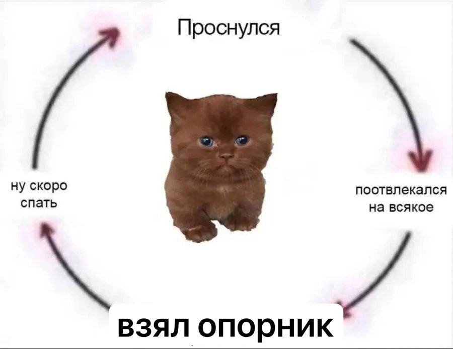 Проснулся ну скоро спать поотвлекался на всякое