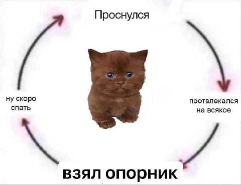 Проснулся ну скоро спать поотвлекался на всякое