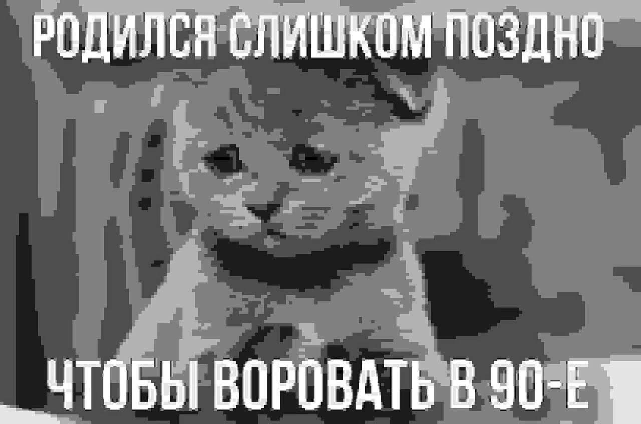 РОДИЛСЯ СЛИШКОМ ПОЗДНО ЧТОБЫ ВОРОВАТЬ В