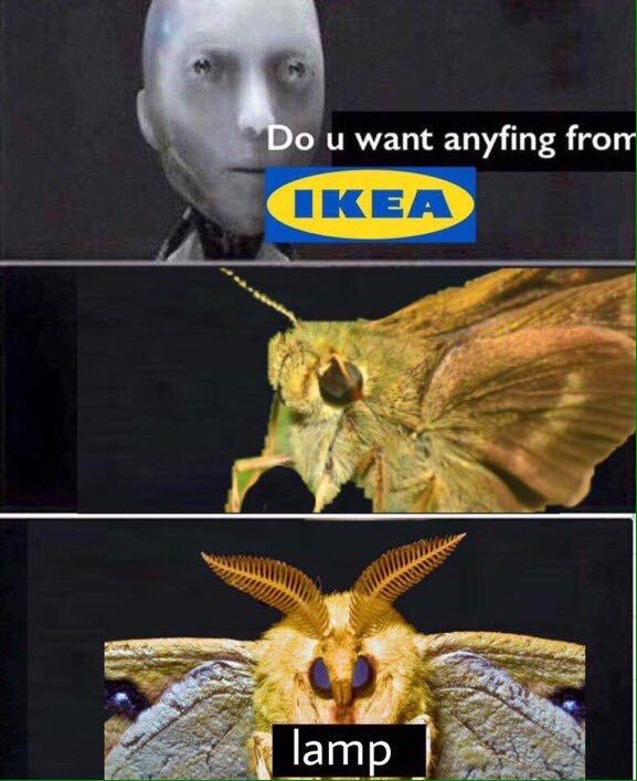 want anyfing lamp