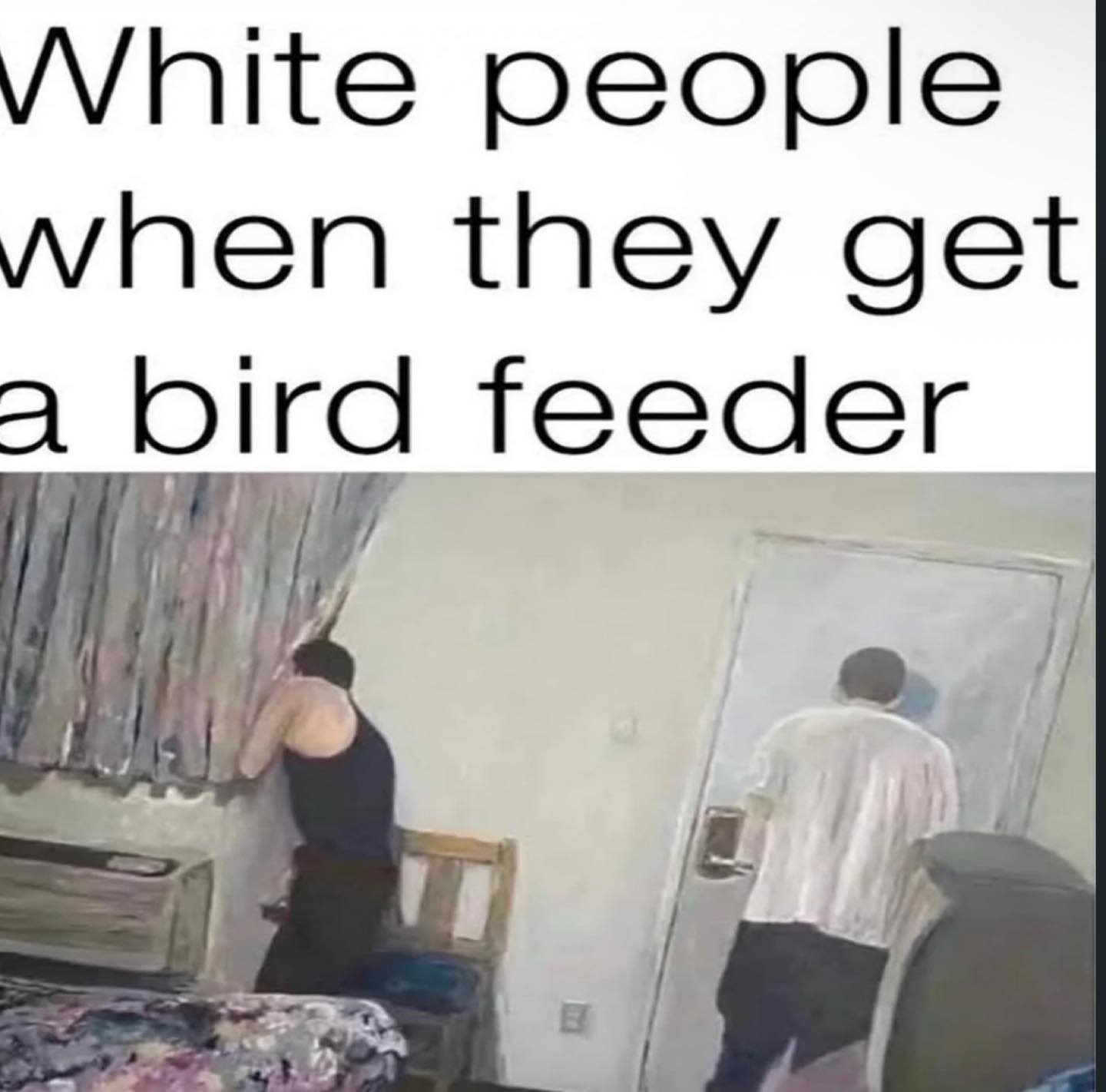 people when they get а bird feeder