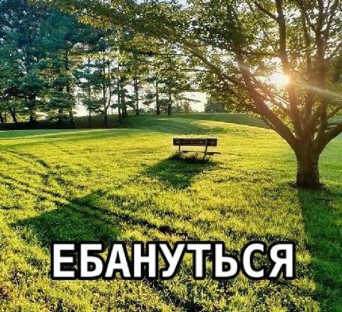 vee a 2 a 4 и я»: we А у Noe ЬСЯ