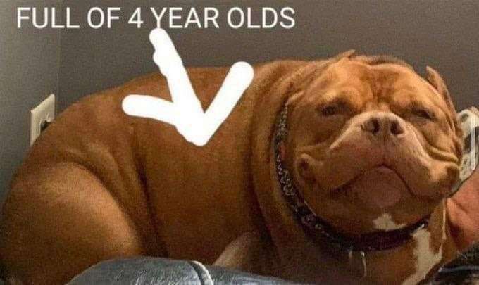 FULL OF 4 YEAR OLDS
