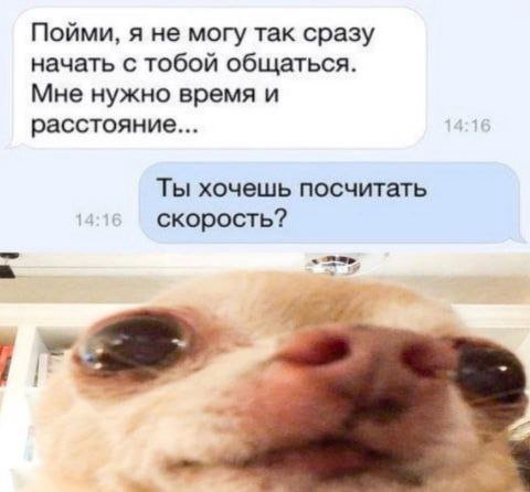 Пойми, я не могу так сразу начать с тобой общаться. Мне нужно время и расстояние... Ты хочешь посчитать скорость?