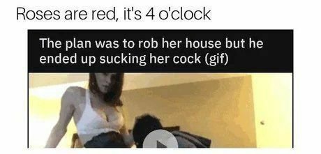 Roses are red, it's 4 o'clock The plan was to rob her house but he ended up sucking her cock (gif)