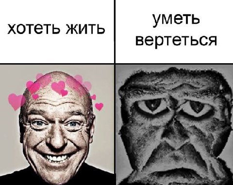 меть хотеть жить у вертеться 4