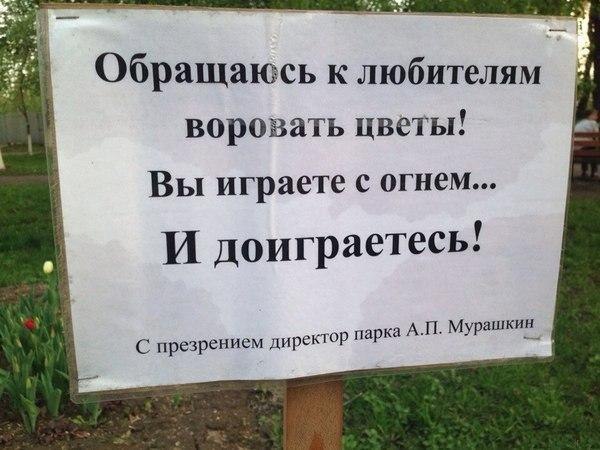 Обращаюсь к любителям ворозать цветы! Вы играете с огнем... И доиграетесь. С презрением директор парка