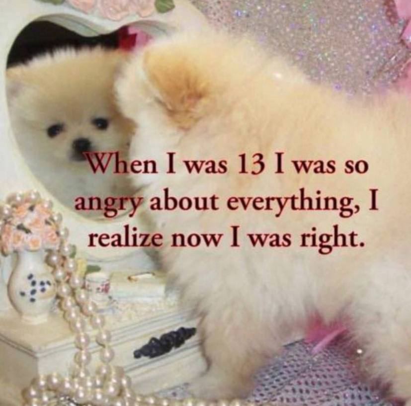 "When I was 13 I was so angry about everything, I I was right.