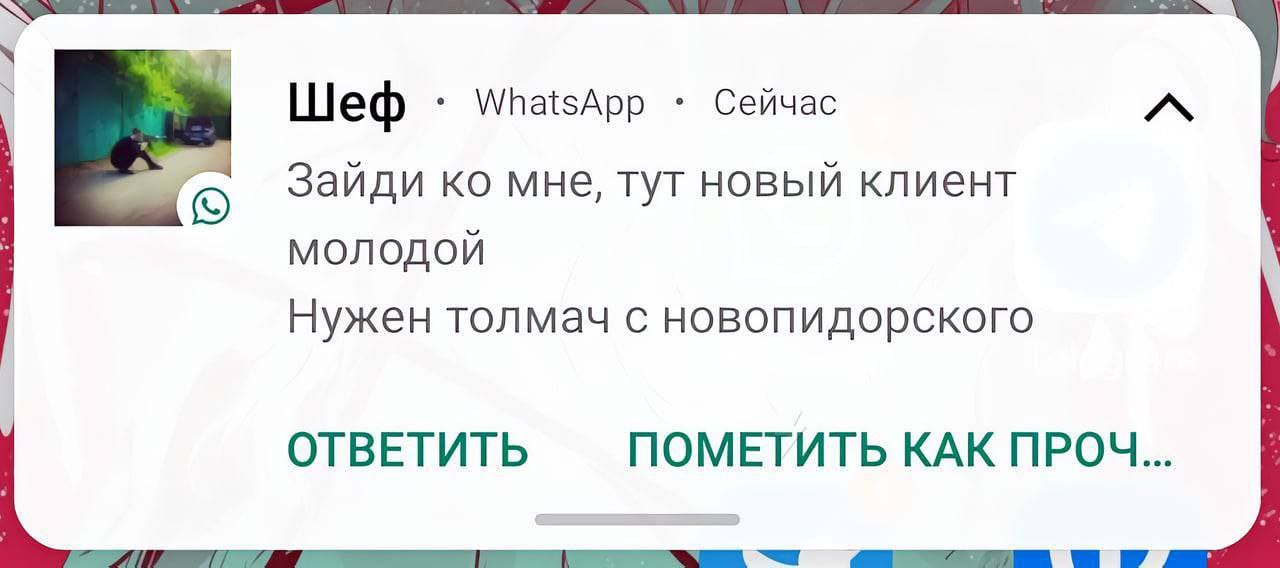 Шеф WhatsApp Сейчас Зайди мне, тут новый клиент молодой Нужен толмач с новопидорского ОТВЕТИТЬ ПОМЕТИТЬ КАК ПРОЧ... 7