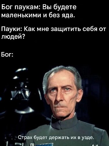 Бог паукам: Вы будете маленькими и без яда. Пауки: Как мне защитить себя от людей? Бог: Страх будет держать в узде в