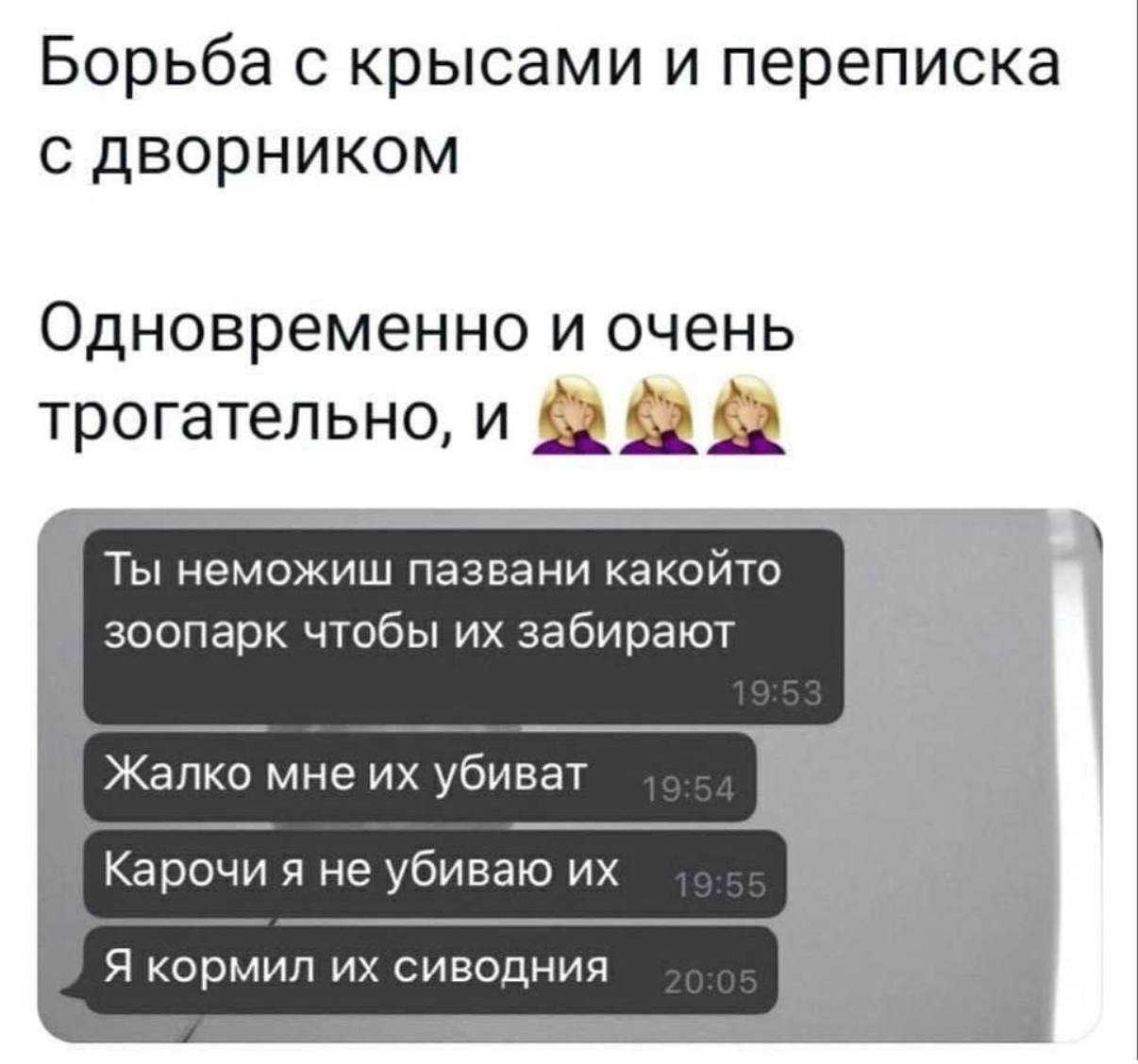 Борьба с крысами и переписка с дворником Одновременно и очень трогательно, и Ты неможиш пазвани какойто зоопарк чтобы забирают 4 Жалко мне убиват `Карочи я не убиваю A СИВОДНИЯ