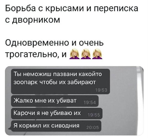 Борьба с крысами и переписка с дворником Одновременно и очень трогательно, и Ты неможиш пазвани какойто зоопарк чтобы забирают 4 Жалко мне убиват `Карочи я не убиваю A СИВОДНИЯ