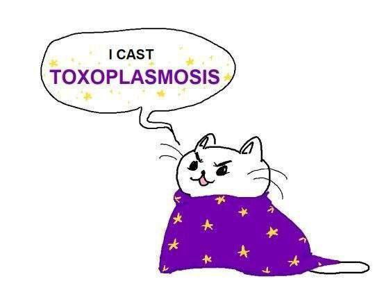 CAST TOXOPLASMOSIS