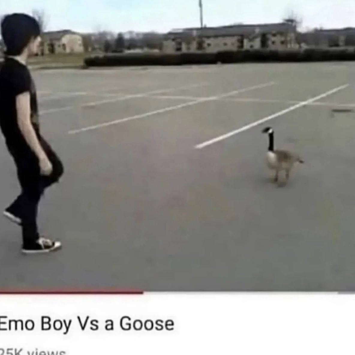 Boy a Goose