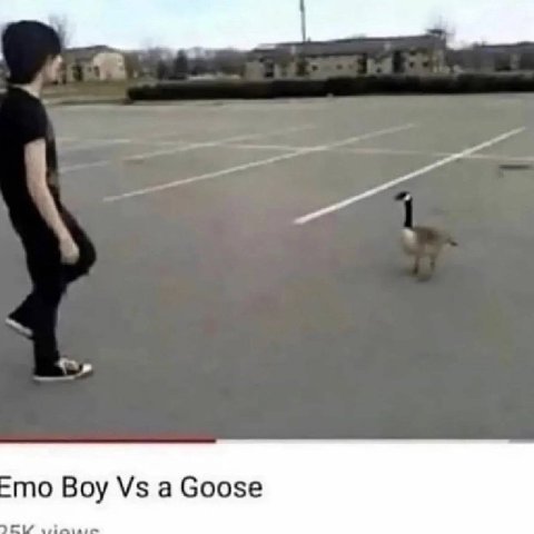 Boy a Goose