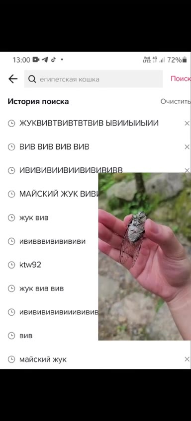 История поиска очистить ЖУКВИВТВИВТВТВИВ ЫВИИЫИЫИИ ВИВ ВИВ ВИВ ВИВ ИВИВИВИИВИивиИВИВИВВ, a МАЙСКИЙ ЖУК ИВ кей, = ивививививииививи О el ивИвИвиивиивив! = ививввививививи ИВИВИВИИВвИививИВИВВ, ыы ‘ жук