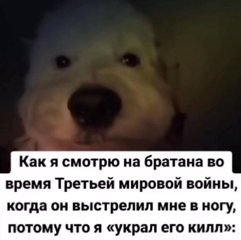 Как я смотрю на братана во время Третьей мировой войны, когда он выстрелил мне в ногу, потому что я «украл его килл»: