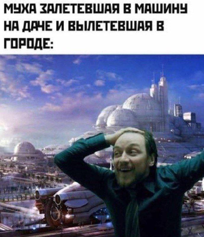 МУХА ЗАЛЕТЕВШАЯ В МАШИНУ НА ДЯЧЕ И ВЫЛЕТЕВШАЯ В ГОРОДЕ: