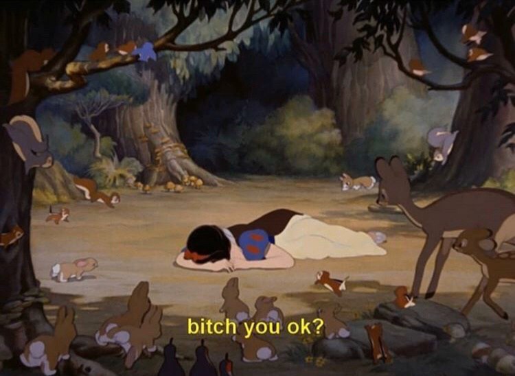 bitch you