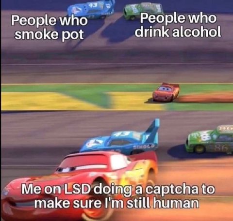 People who People who smoke pot drink alcohol OF on LSD doing a captcha to make sure still human