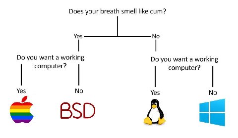 Does your breath smell like сит? you want a working you want a working computer? computer? Yes No Yes No и