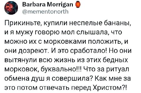 Barbara Morrigan @mementonorth Прикиньте, купили неспелые бананы, мужу говорю мол слышала, что можно с морковками положить, и они дозреют. И это сработало! Но они вытянули всю жизнь из этих бедных мор