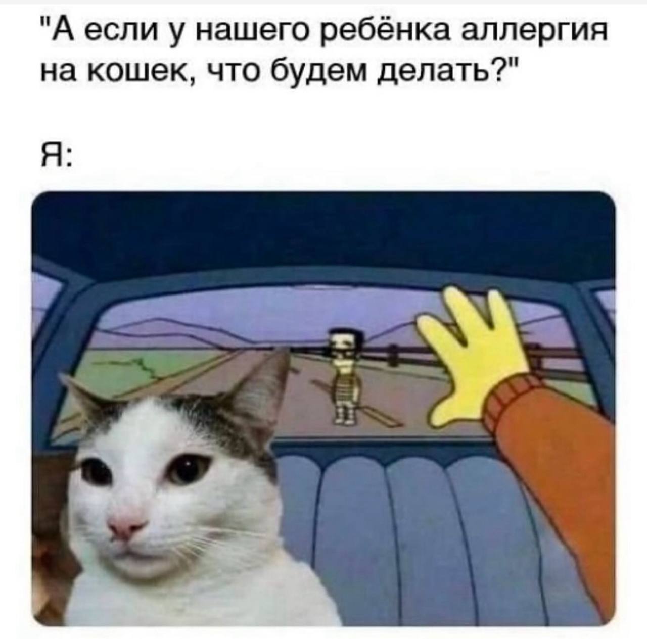"А если у нашего ребёнка аллергия на кошек, что будем делать?" Я: