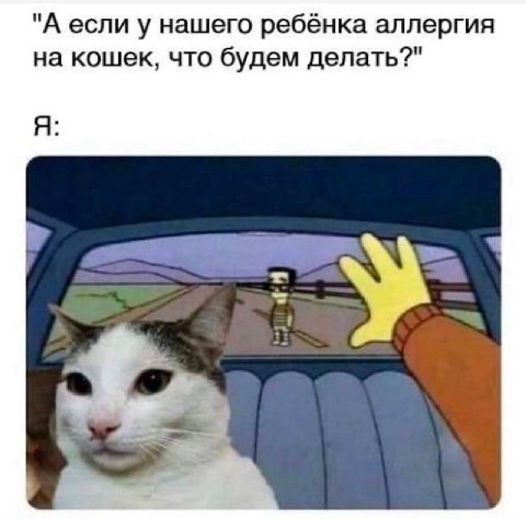 "А если у нашего ребёнка аллергия на кошек, что будем делать?" Я: