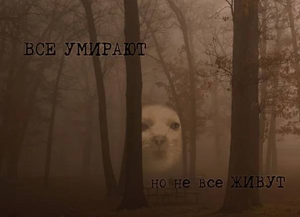 У is А у: 5) Bee