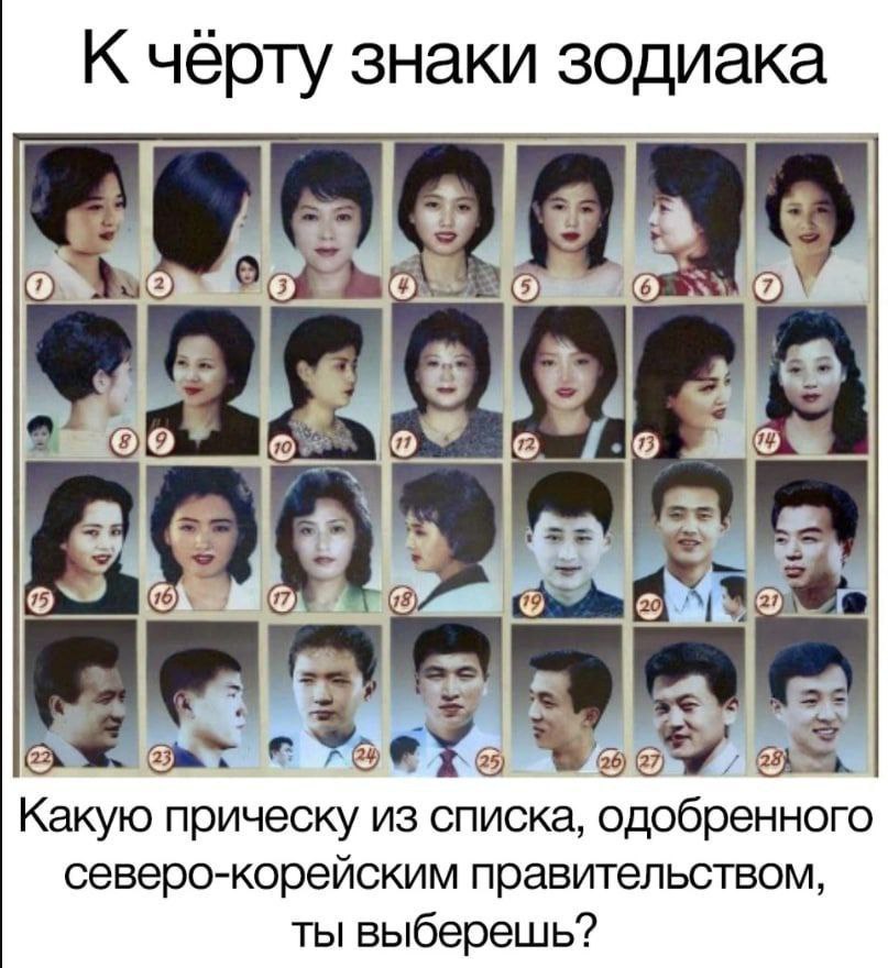 К чёрту знаки зодиака „3. Какую прическу из списка, одобренного северо-корейским правительством, ты выберешь?