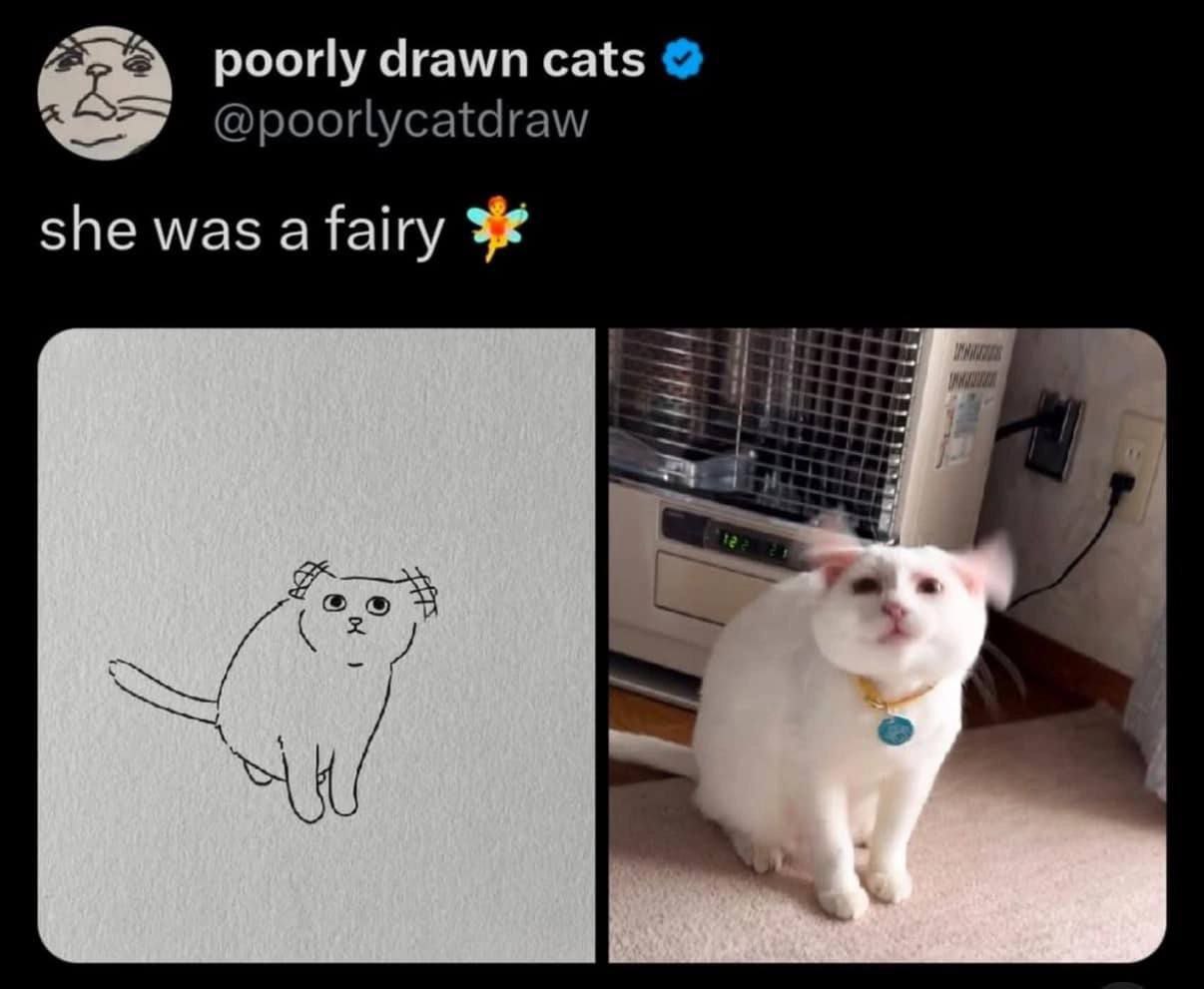 poorly drawn cats she was afairy