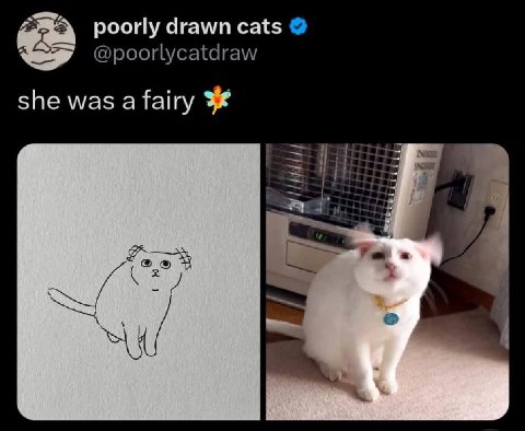 poorly drawn cats she was afairy
