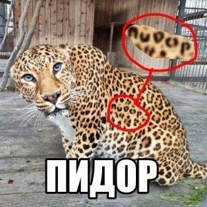 his we ПИДОР