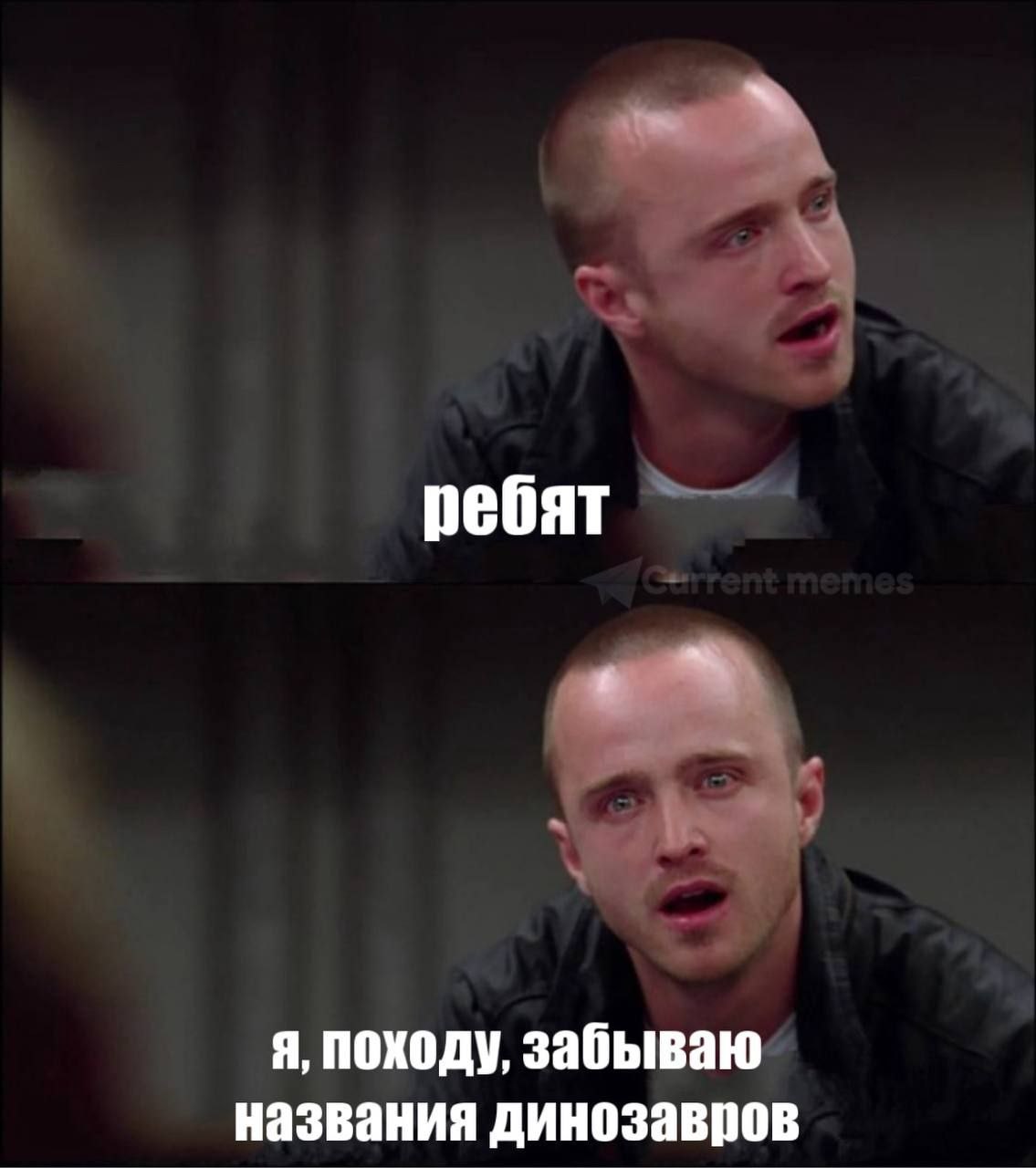 ребят я, походу, забываю названия динозавров