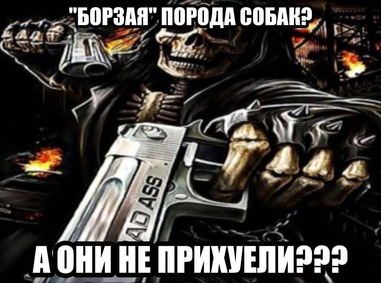 "БОРЗАЯ" ПОРОДА СОБАК? 3 A OHM HE ПРИХУЕЛИ