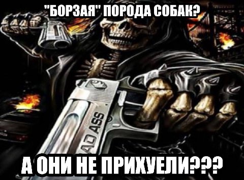 "БОРЗАЯ" ПОРОДА СОБАК? 3 A OHM HE ПРИХУЕЛИ