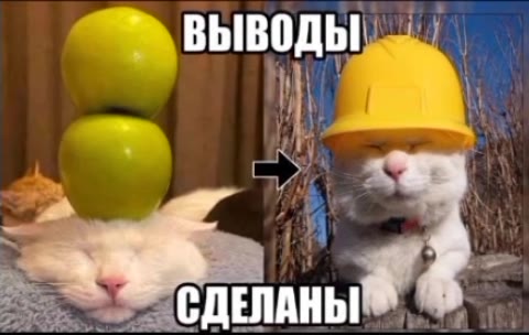 у СДЕЛАНЫ