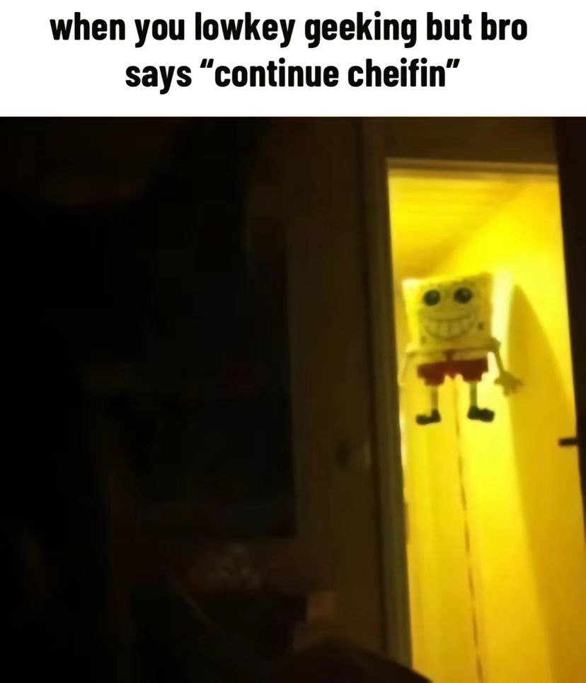 when you lowkey geeking but bro says “continue cheifin”