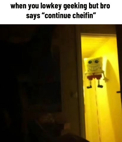 when you lowkey geeking but bro says “continue cheifin”