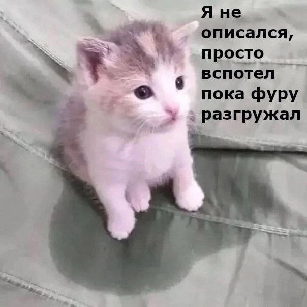 Я не описался, просто вспотел пока фуру гружал