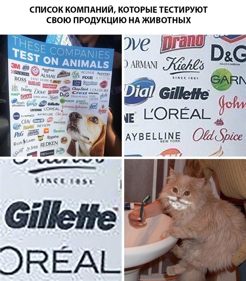 СПИСОК КОМПАНИИ, КОТОРЫЕ ТЕСТИРУЮТ СВОЮ ПРОДУКЦИЮ НА ЖИВОТНЫХ COMPANIES 42 ANIMALS ARMANI Bos: ACUVUE my Dial REAI ЧЕ LOREAL REVION Rogaine AYBELLINE Old Spice SINCE Gillette