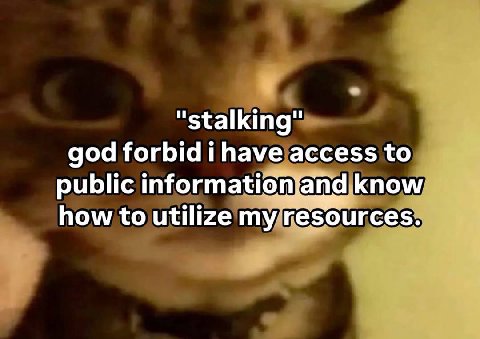 "stalking" god forbid i have access to public informationjand know how to utilize my resources.