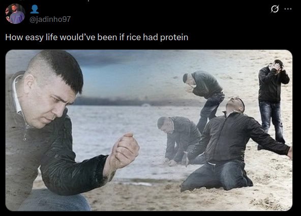 i How easy life would’ve been if rice had protein