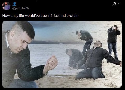 i How easy life would’ve been if rice had protein