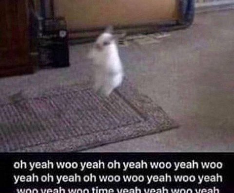 yeah woo yeah yeah woo yeah woo yeah yeah woo woo yeah woo yeah