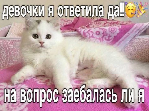 be заебалась