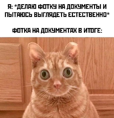 Я: *ДЕЛАЮ ФОТКУ НА ДОКУМЕНТЫ И ПЫТАЮСЬ ВЫГЛЯДЕТЬ ФОТКА НА ДОКУМЕНТАХ В ИТОГЕ: