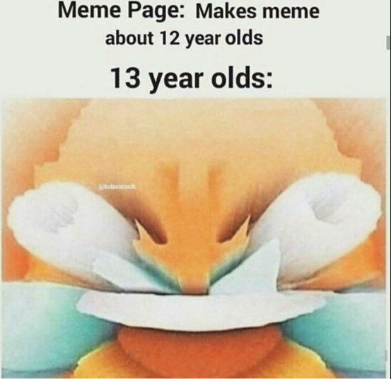 Meme Раде: Makes тете about 12 year olds 13 year olds: