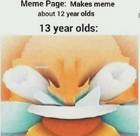 Meme Раде: Makes тете about 12 year olds 13 year olds: