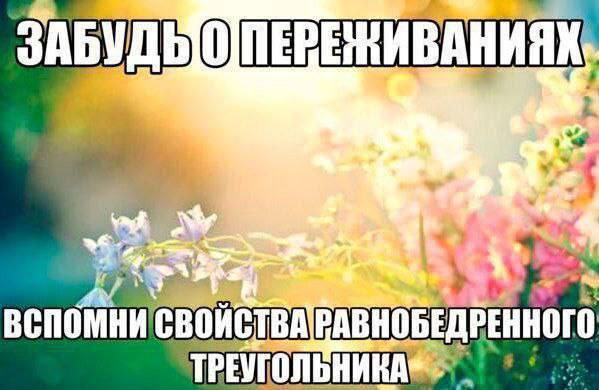 БЕД РЕННОГО ТРЕУГОЛЬНИКА